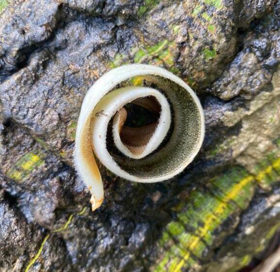 فندق Cabaña Familiar En Afra Reserva Natural