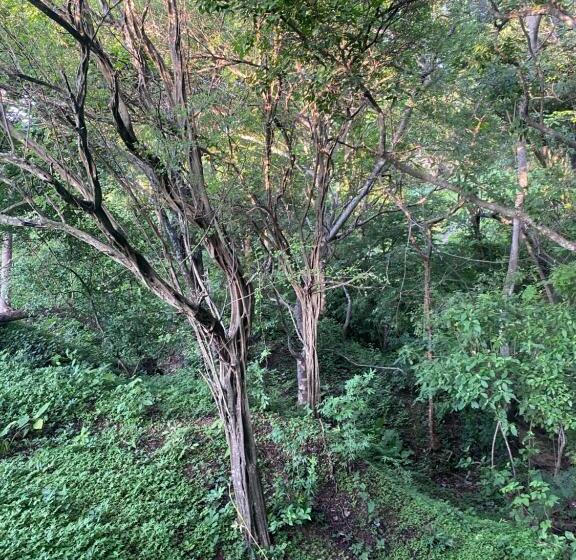 هتل Cabaña Familiar En Afra Reserva Natural