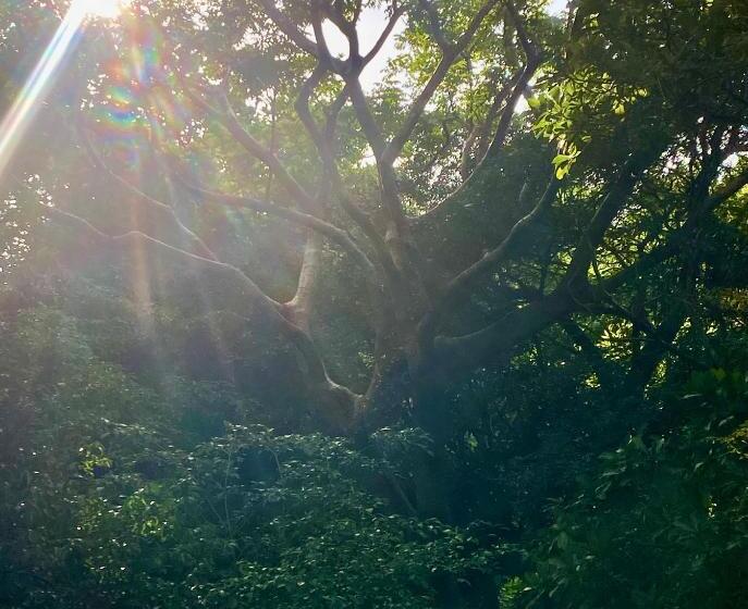 فندق Cabaña Familiar En Afra Reserva Natural