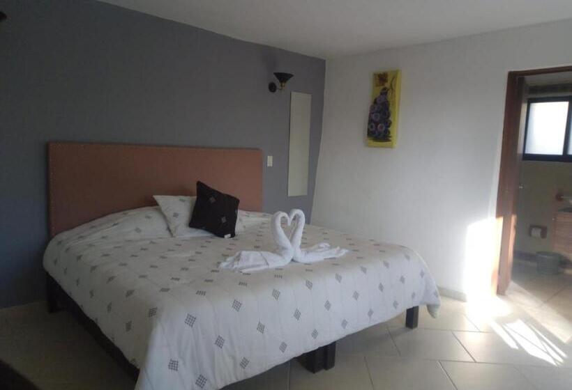 فندق Palmira Garden Bonanza