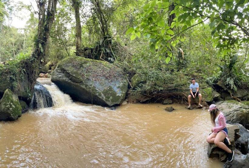 בית מלון כפרי El Piedron