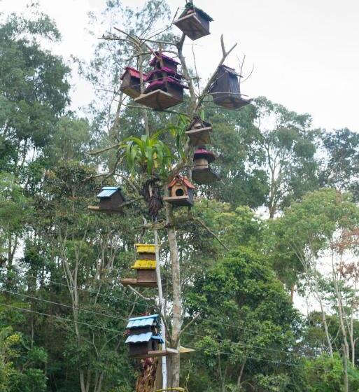 בית מלון כפרי El Piedron