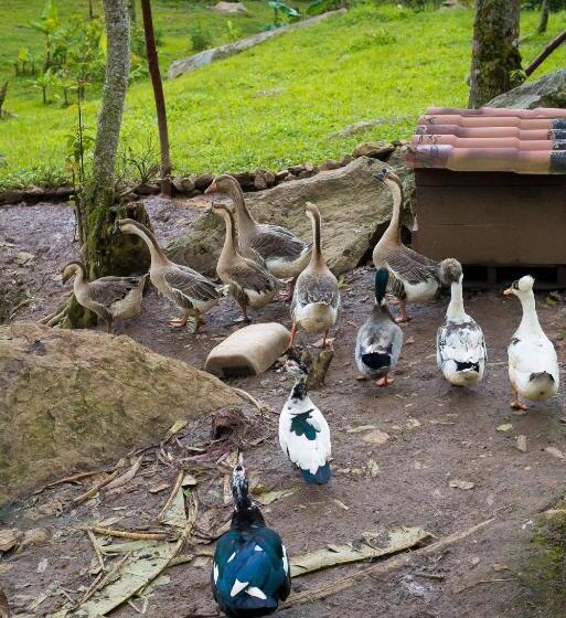 בית מלון כפרי El Piedron