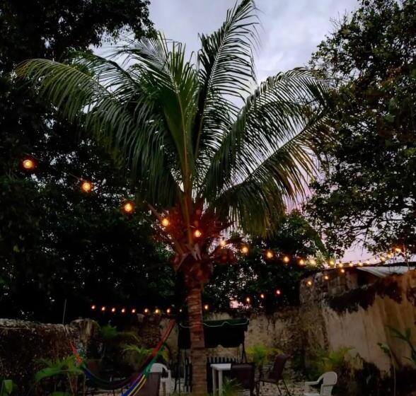 هتل Enso In Downtown