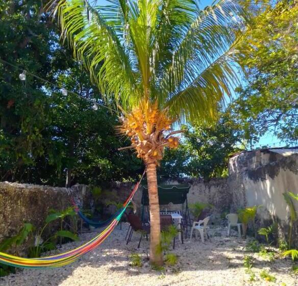 هتل Enso In Downtown