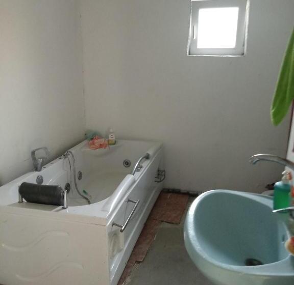 Отель Gheorghe Cornelia