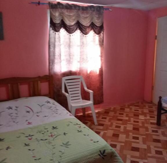 호텔 Hostal Ebenezer