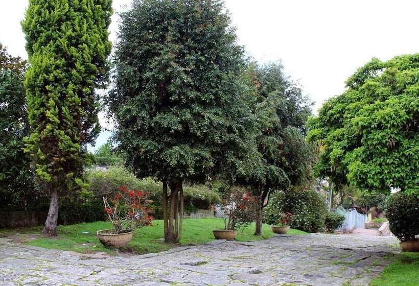 فندق Las Vegas Rca