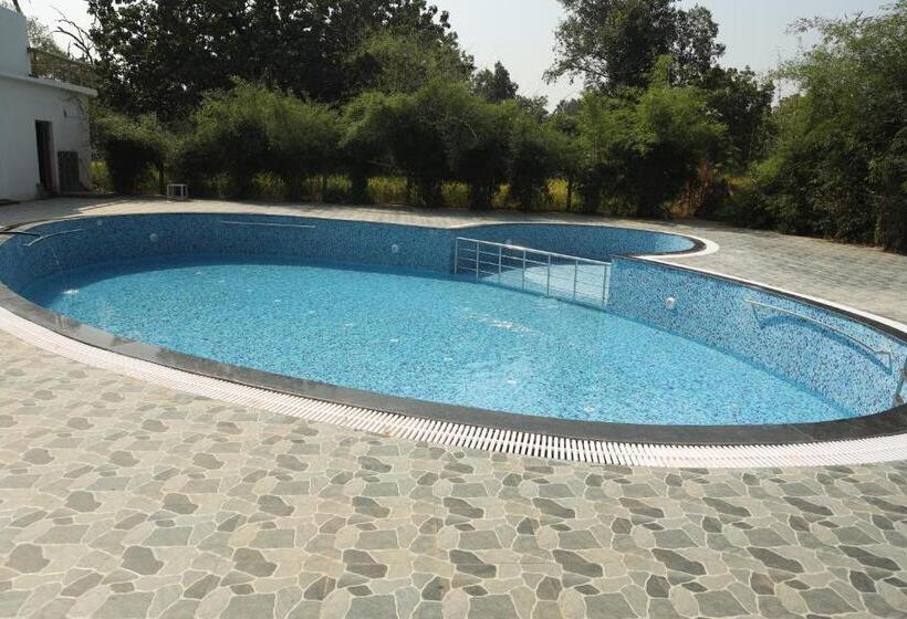 בית מלון כפרי Olive