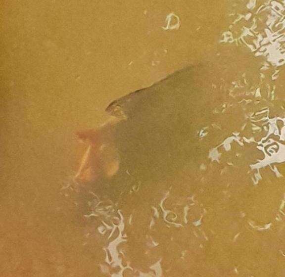 호텔 Villa Sanasika