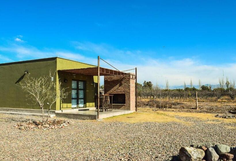 Отель Vista Chachingo Lodge