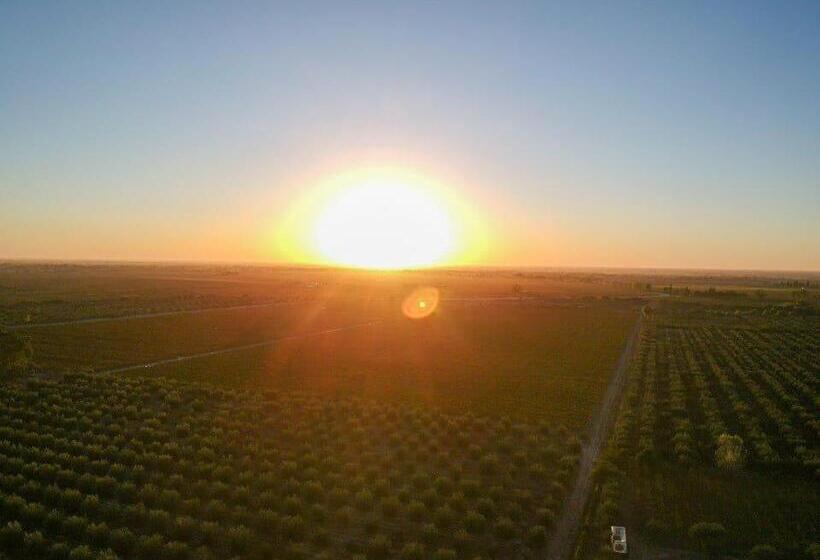 Отель Vista Chachingo Lodge
