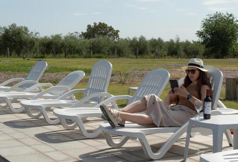 Отель Vista Chachingo Lodge