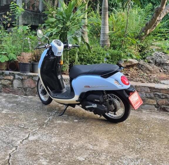 膳宿费 Angel House