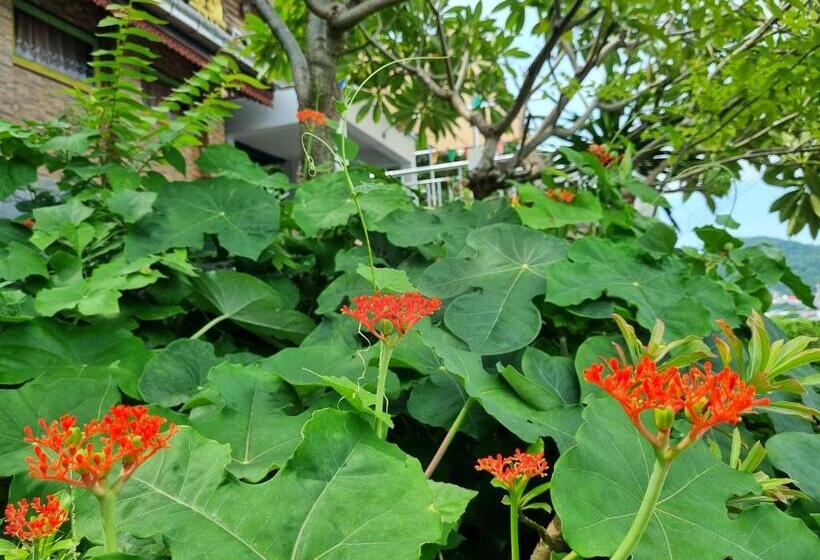 膳宿费 Angel House