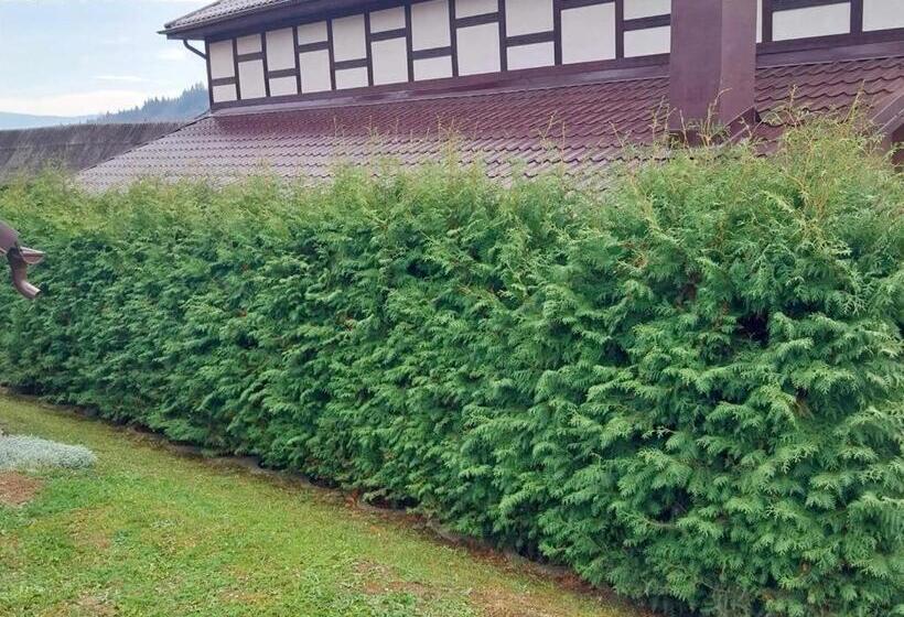 פנסיון Casa Lulu