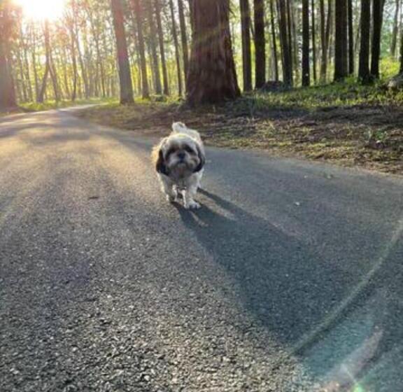 פנסיון Cozy Inn Free Shuttle Service