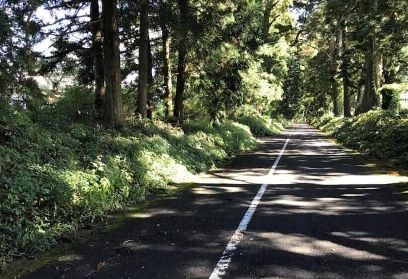 פנסיון Cozy Inn Free Shuttle Service