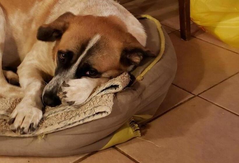 بنسيون Granero De Las Joyas, Valle De Bravo