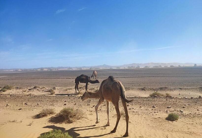 Пансион Hôte Sahara & Spa Tadighoust