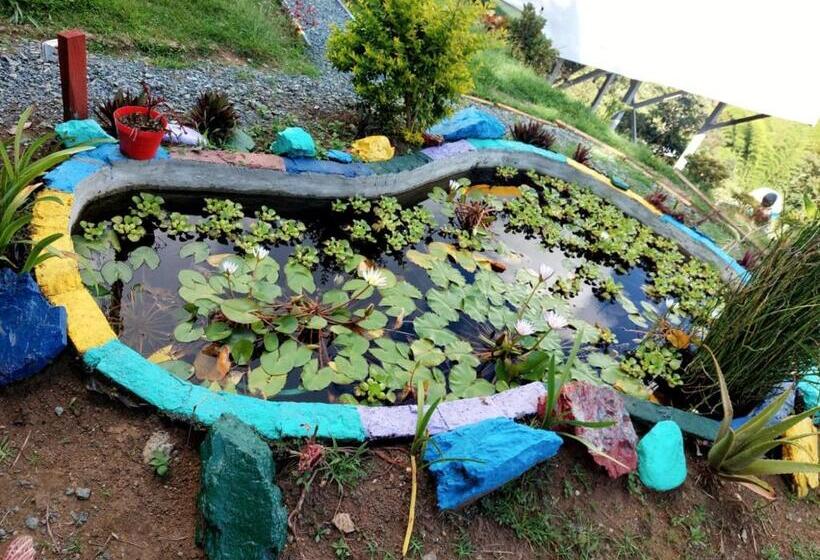 펜션 Hostel Paraiso De Colores