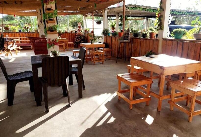 펜션 Hostel Paraiso De Colores