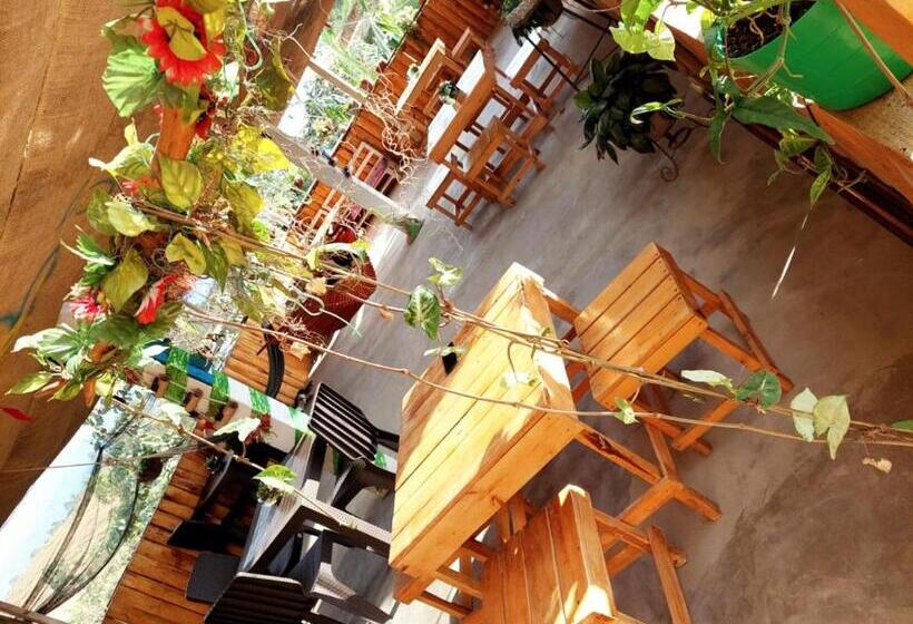 پانسیون Hostel Paraiso De Colores