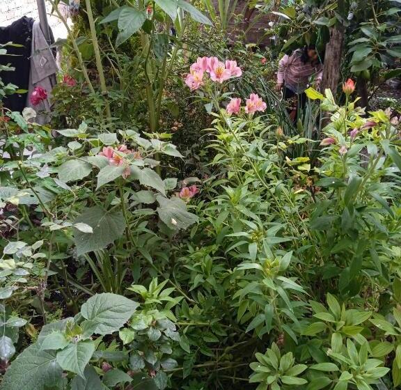 پانسیون Posada Cumbe Mayo