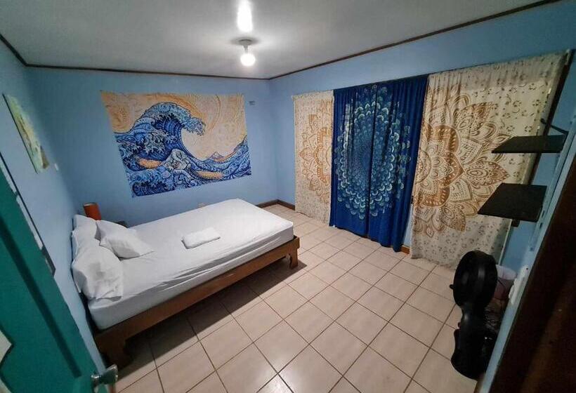 פנסיון Slow Monkey Hostel