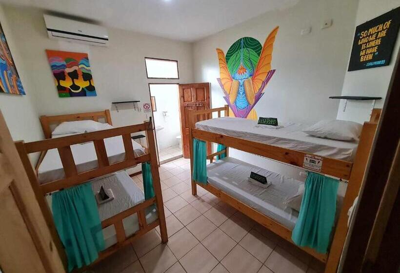 פנסיון Slow Monkey Hostel