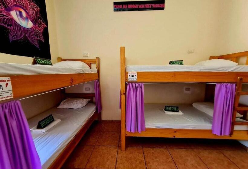 פנסיון Slow Monkey Hostel