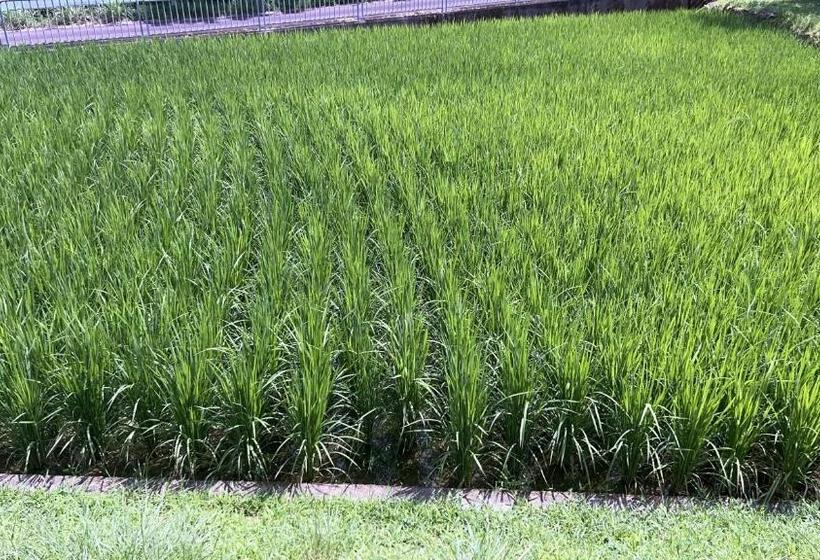Pension 長徳寺宿坊　temple