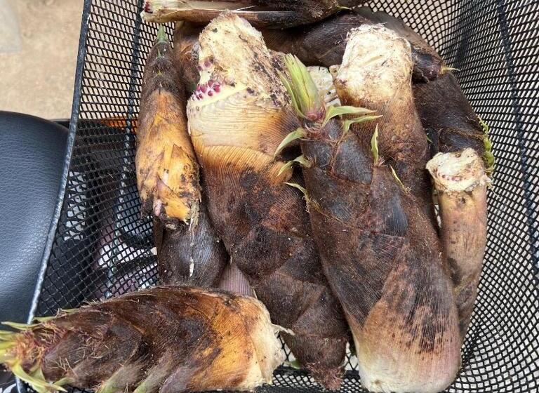 Pension 長徳寺宿坊 temple