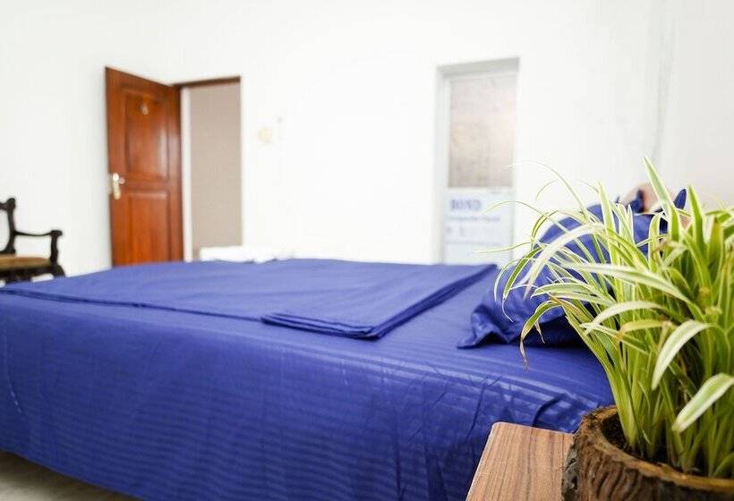 פנסיון The Anam Hostel