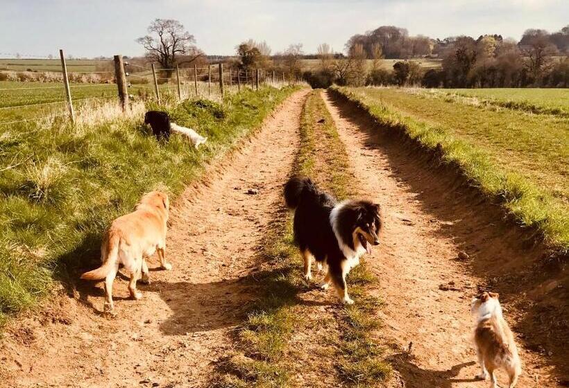 بنسيون The Old Post Office Studio Apartment In A Beautiful Cotswold Village