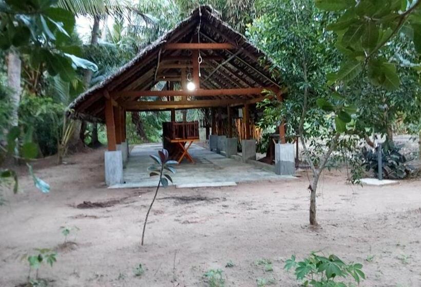 ペンション Ulpatha Eco Lodge