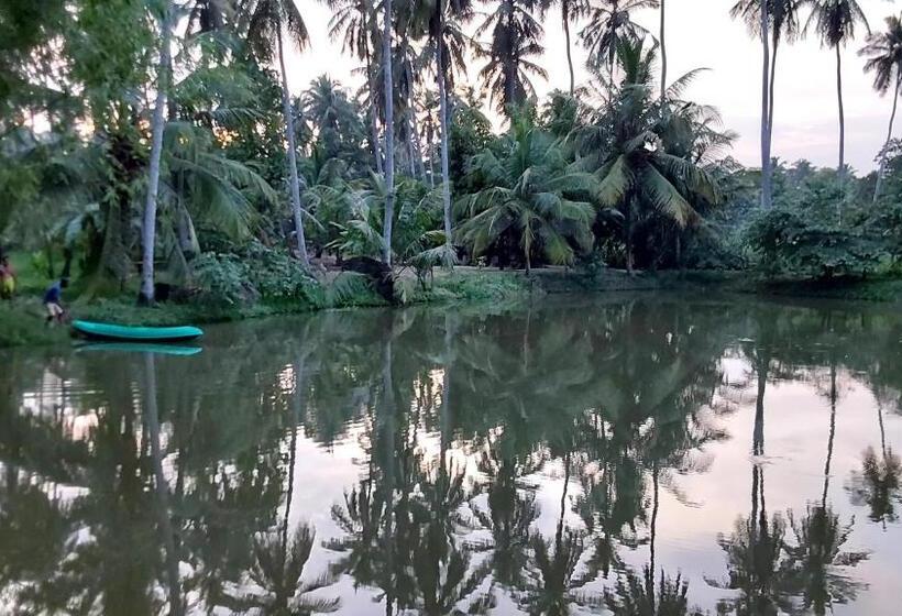 ペンション Ulpatha Eco Lodge