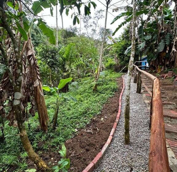 Pensiune Vila Dos Pássaros,quarto 05