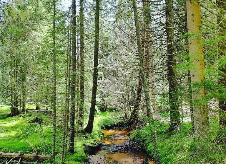 President Kop Apartman 106