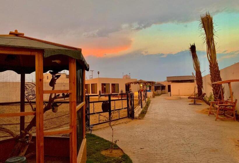 Resort مربط الجازي