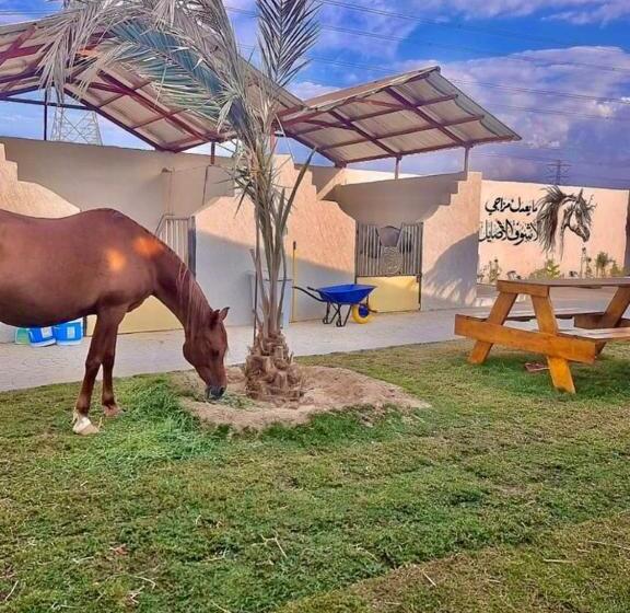 Resort مربط الجازي