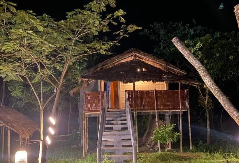 منتجع Paddy Shed