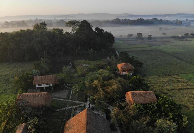 منتجع Paddy Shed