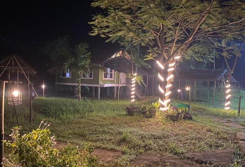 منتجع Paddy Shed