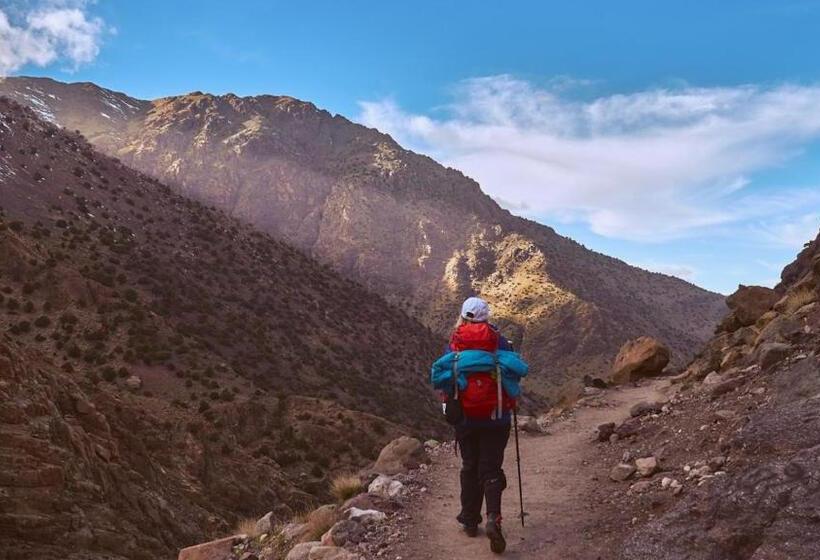 ریاض Fez Experiences