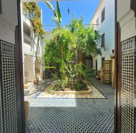 ریاض Fez Experiences