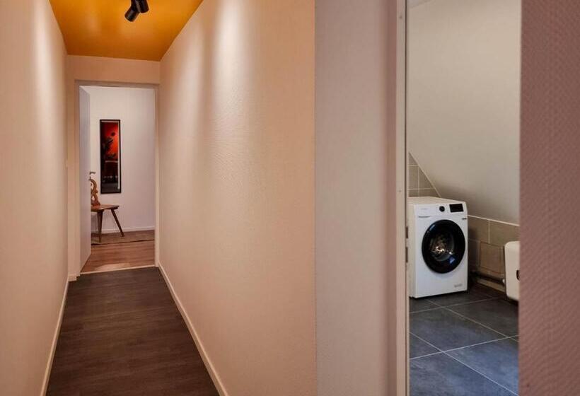 Travel Homes   Rapp, Charm In The Heart Of Colmar