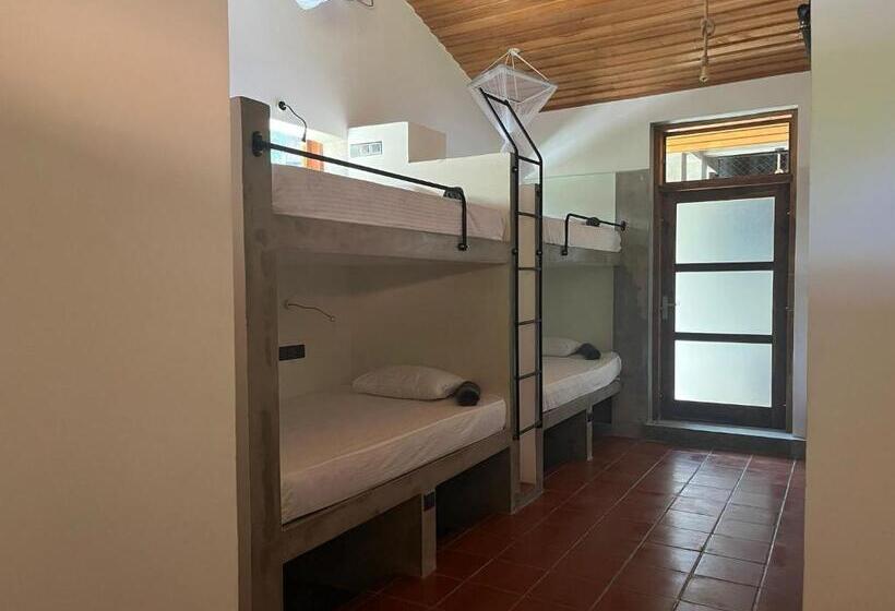 Общежитие Bappa S Place