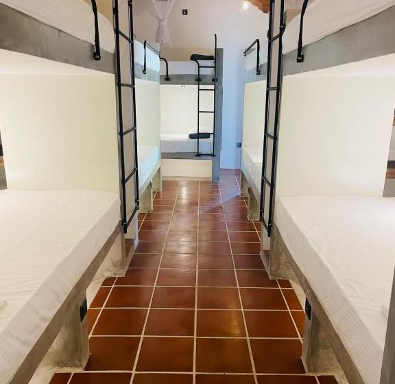 Общежитие Bappa S Place