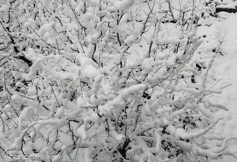 旅馆 Burwa Breeze By Winsum Stays